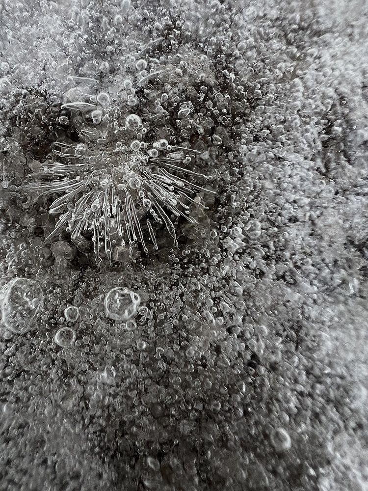 Photograph by Elvira