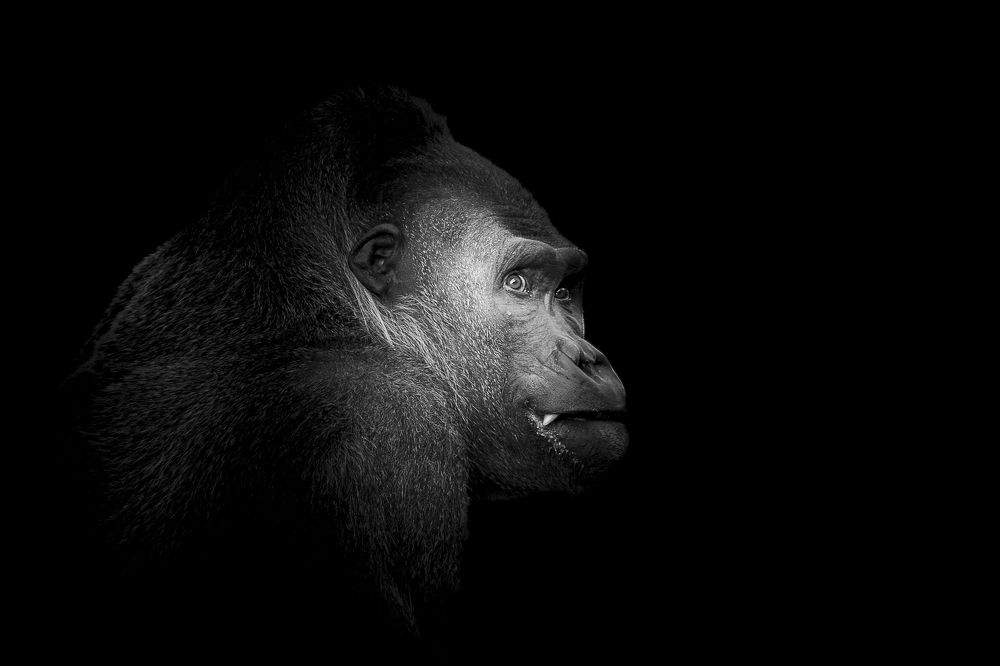 Photograph by Mélina Delbert