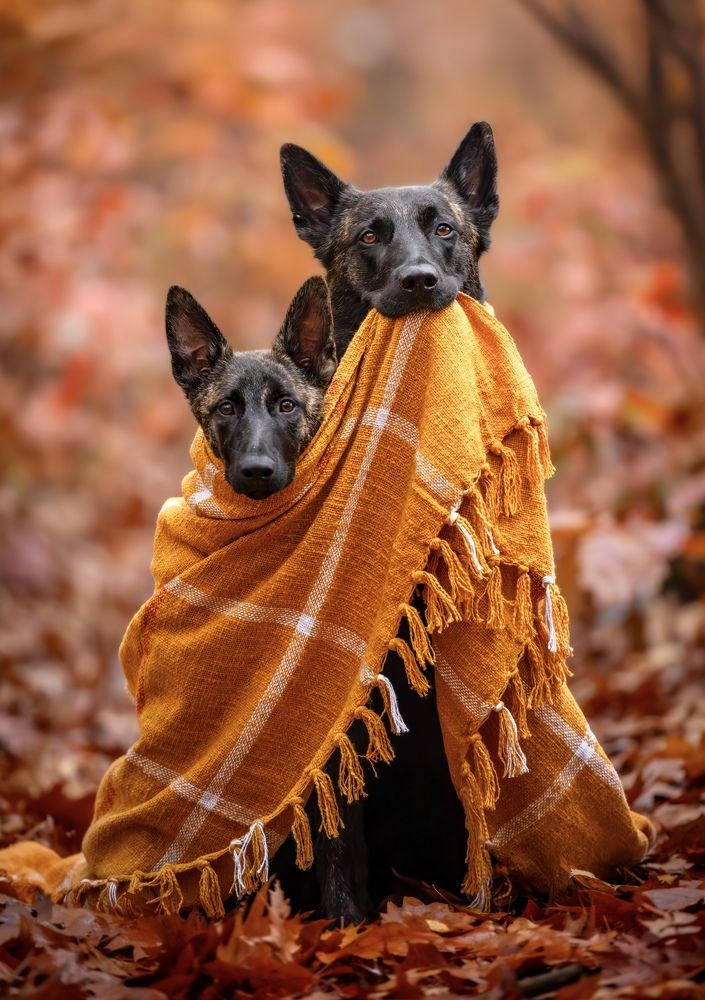 Photograph by Shanna van Mens