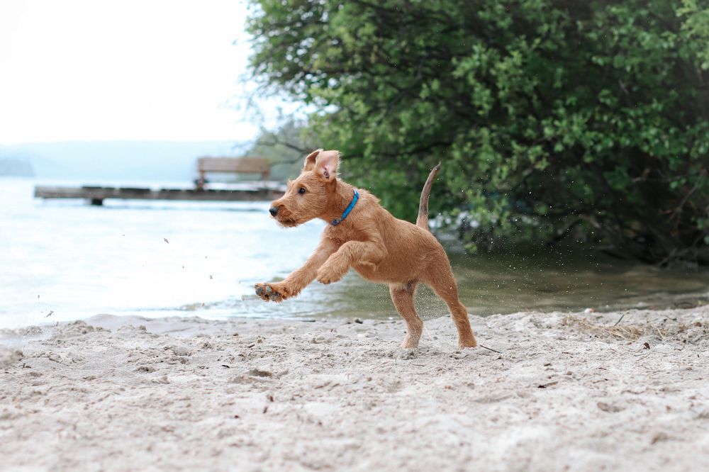 Photograph by Альвина Кузнецова