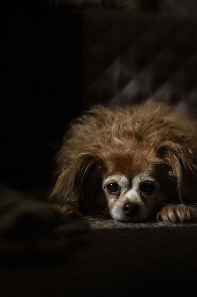 Photograph by Kotik photo