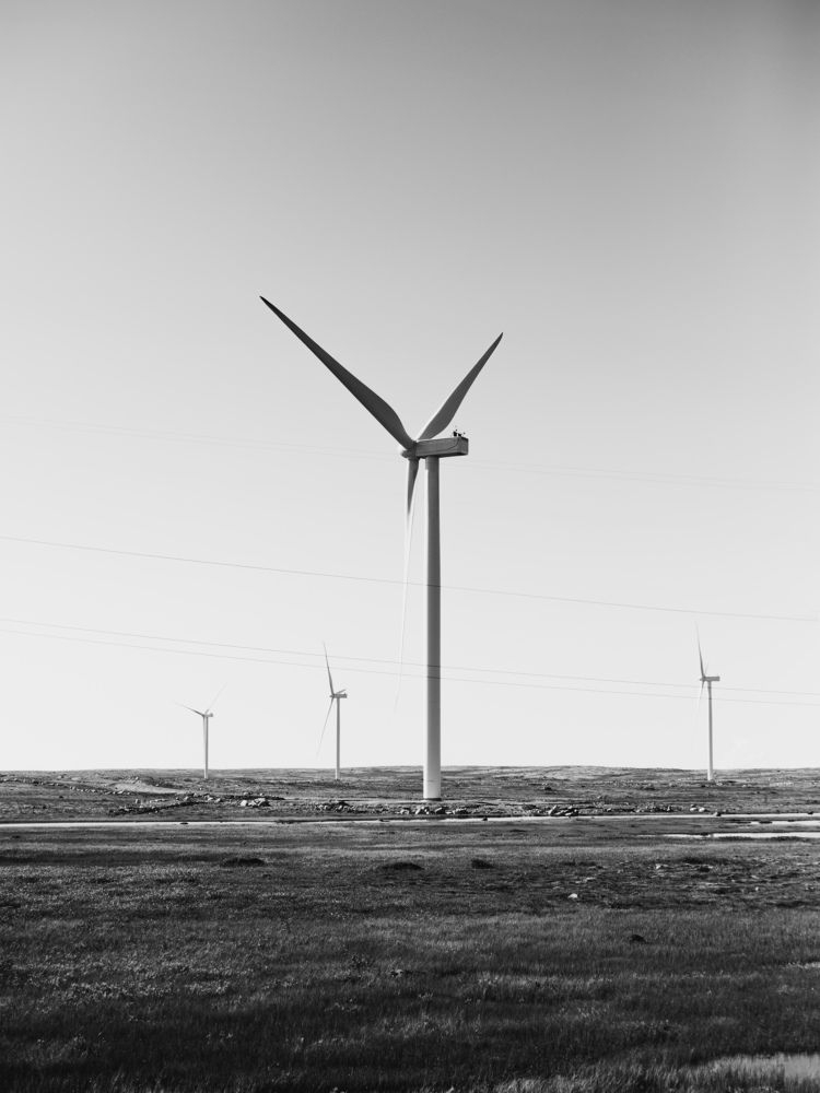 Photograph by Алиса Нежинская