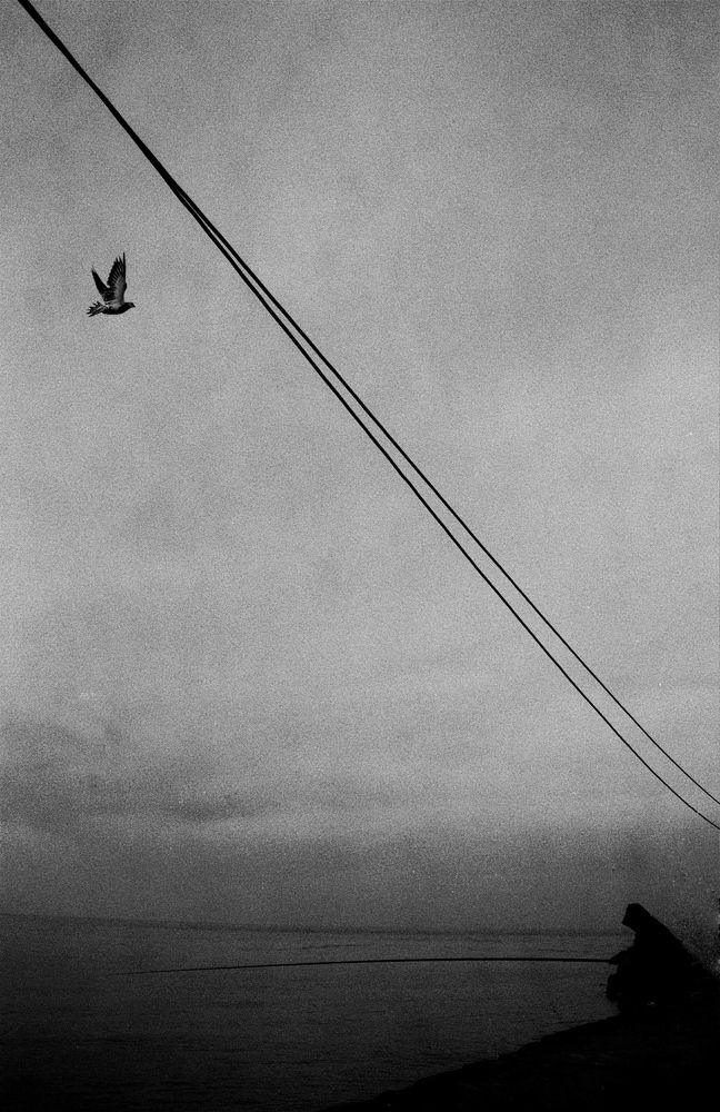 Photograph by Mostafa Mohammad Beigi