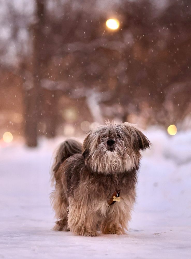 Photograph by Diana Karp