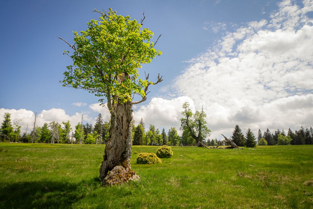 Photograph by Jan Vacek