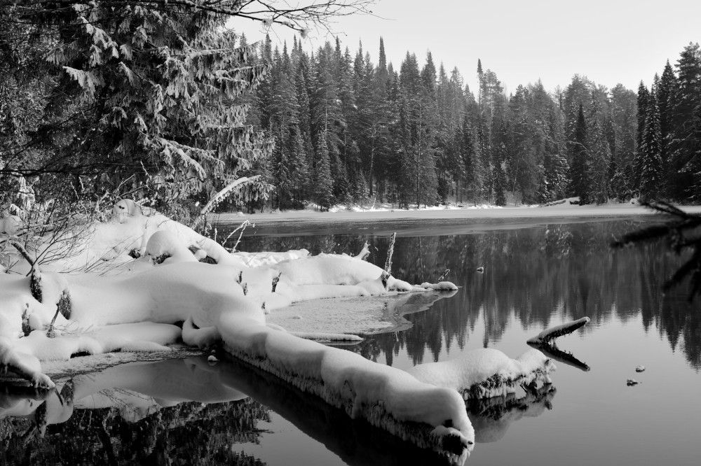 Photograph by Андрей Пляскин