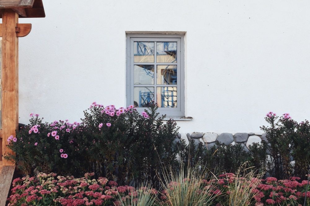 Фотография автора Ekaterina Biserova