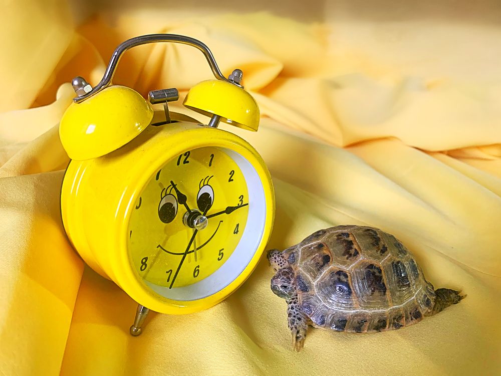 Доброе утро!