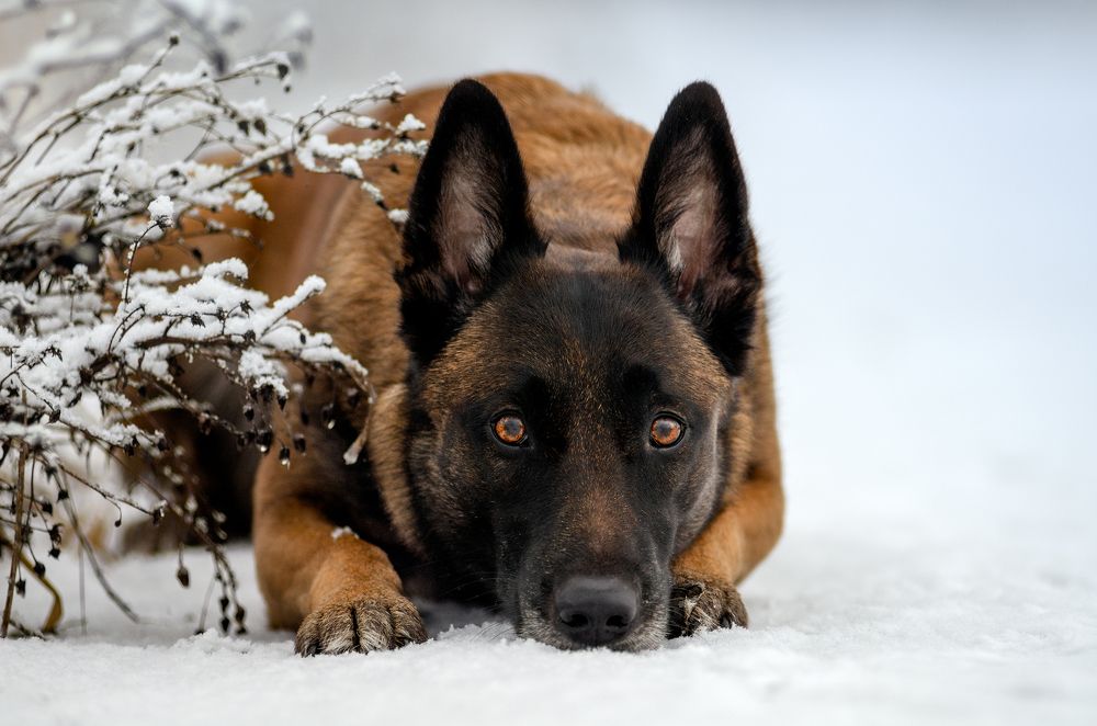 Photograph by Ольга Новикова