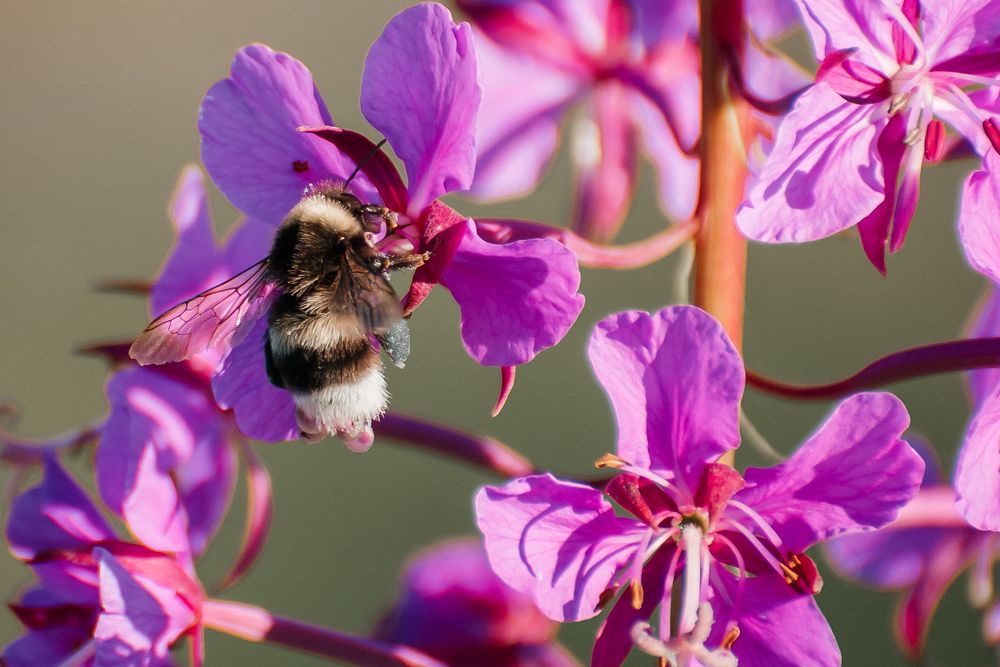 Photograph by Людмила Москвичёва