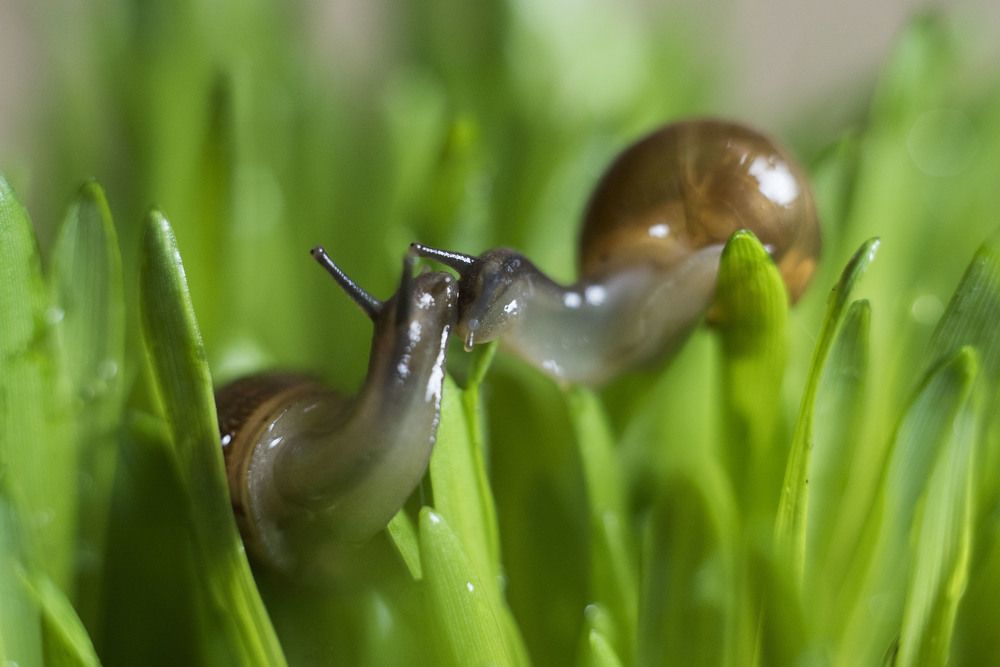 прикосновение нежности
