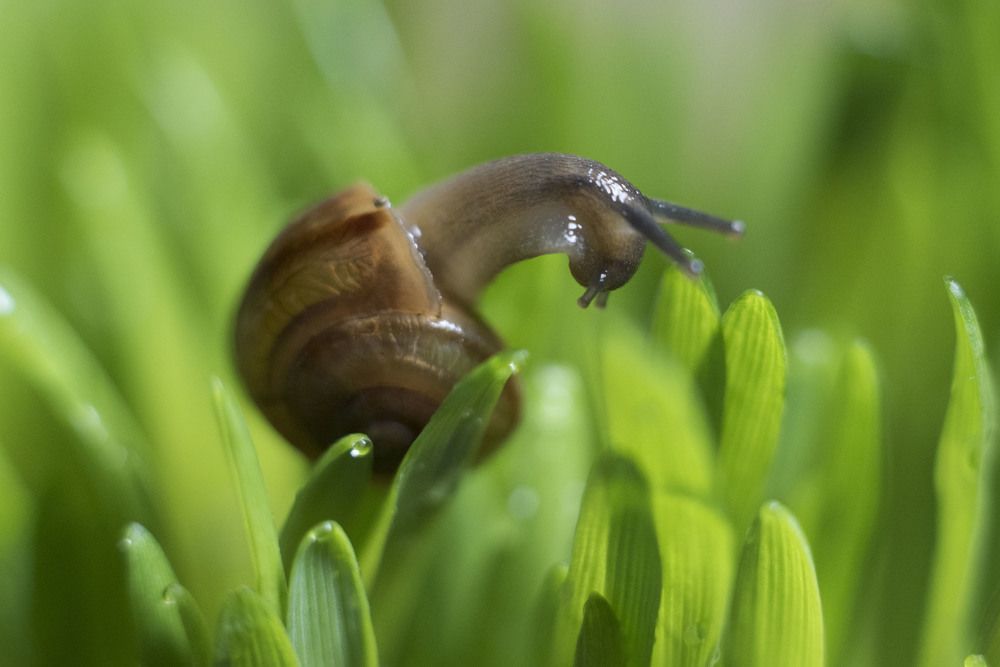 Взгляд на зеленый океан