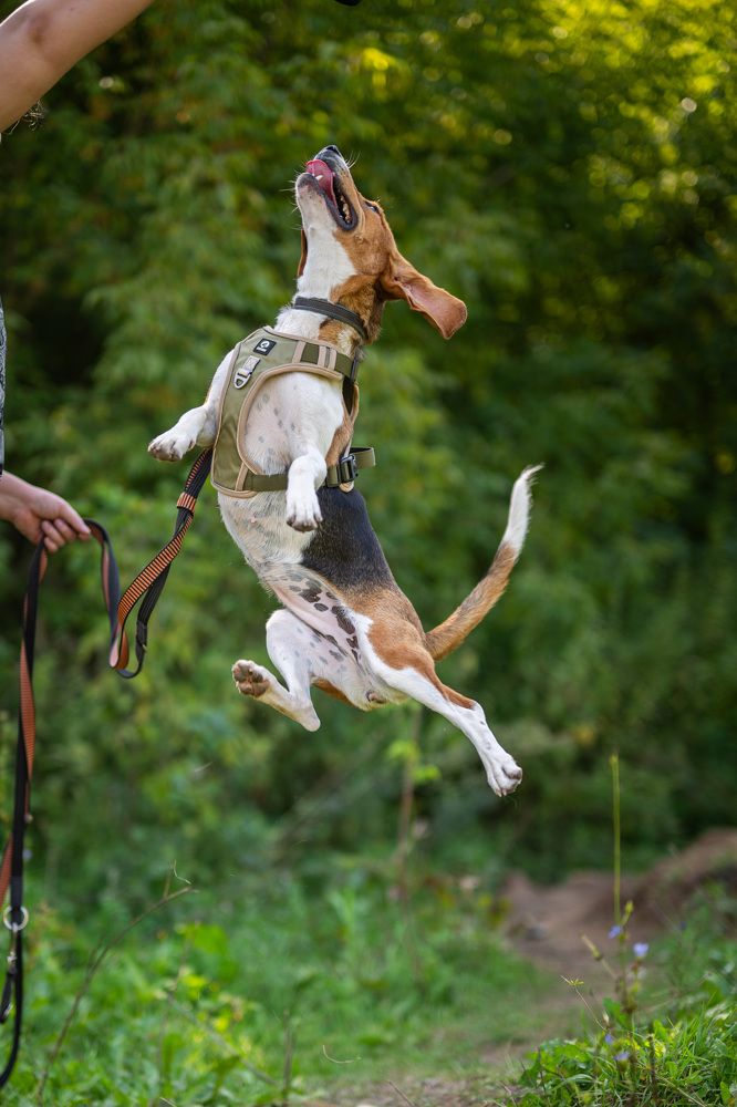 Photograph by Иван Грачев