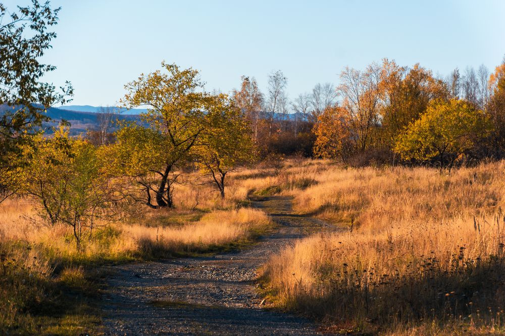 Photograph by Irina Luidinshina