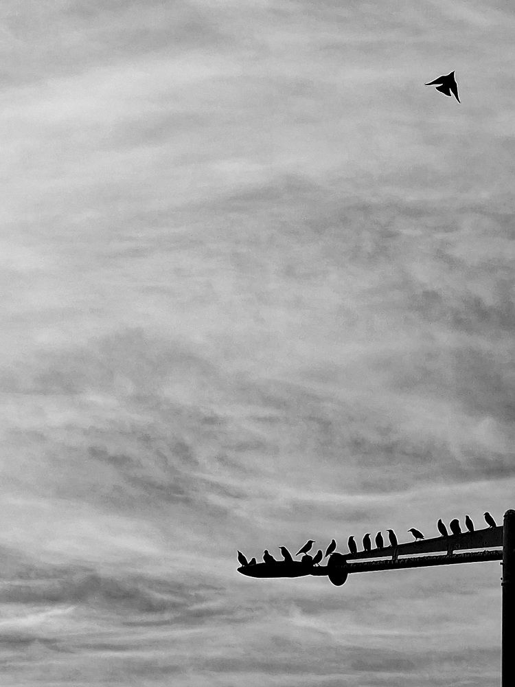 Фотография автора Maryna Pytliak