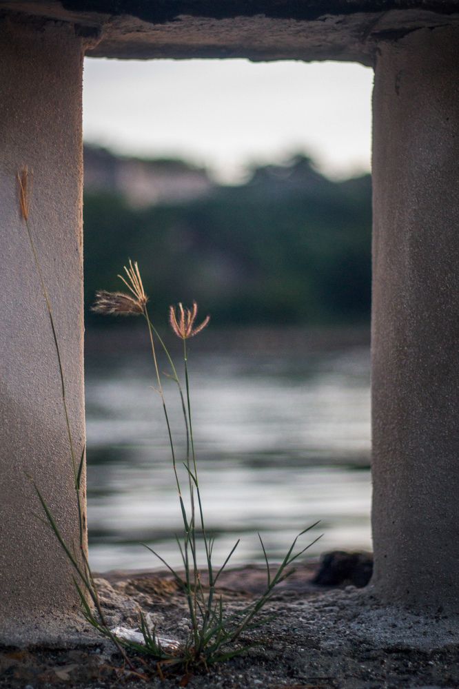 Photograph by Evelyn Carnot Montes