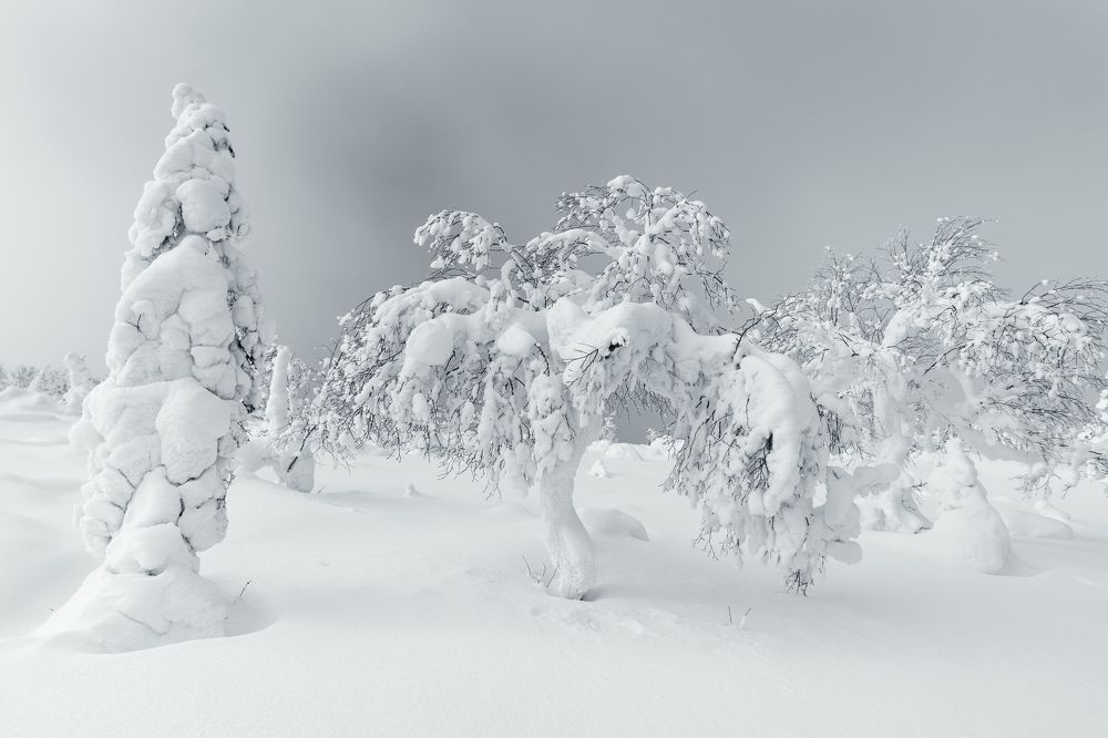 Photograph by Ольга Мусиенко