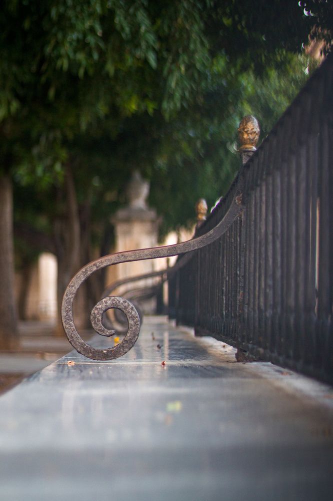 Photograph by Evelyn Carnot Montes