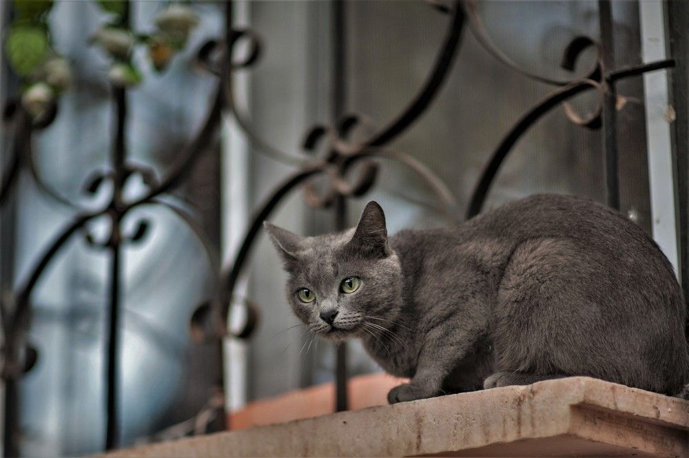 Фотография автора Юрий Кульмяков