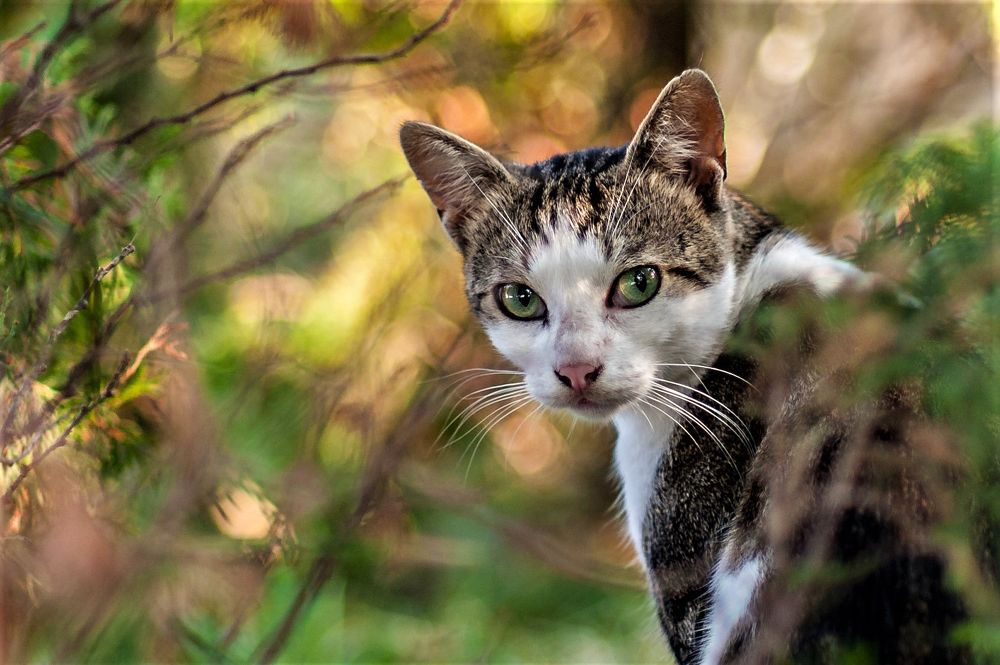 Фотография автора Юрий Кульмяков