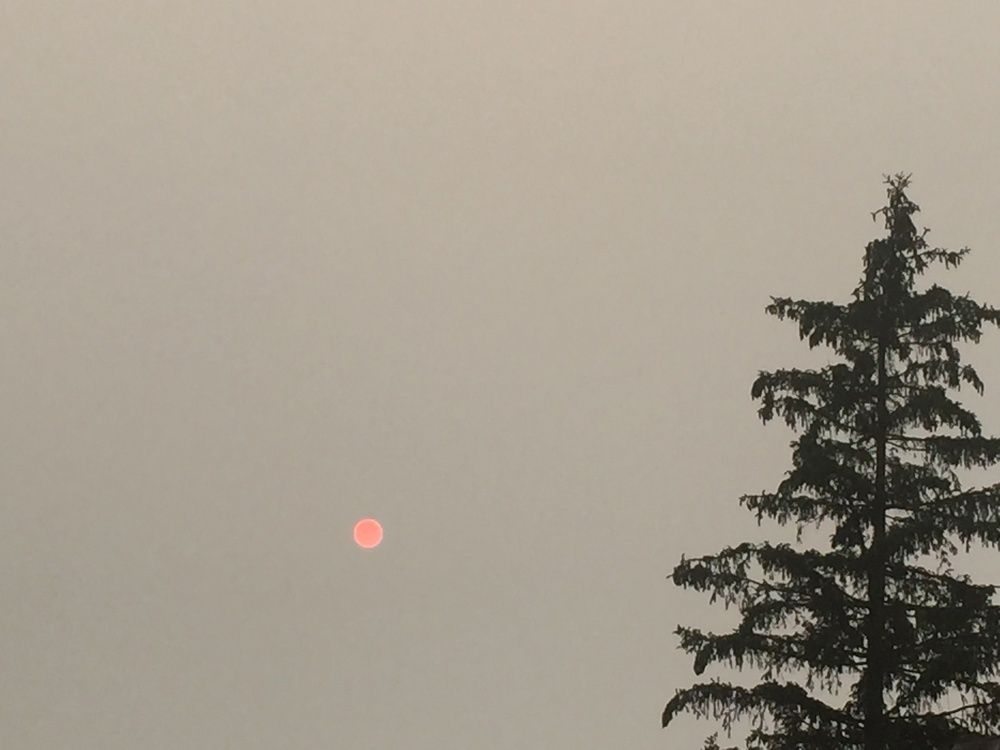 Фотография автора Meline Mikoyan