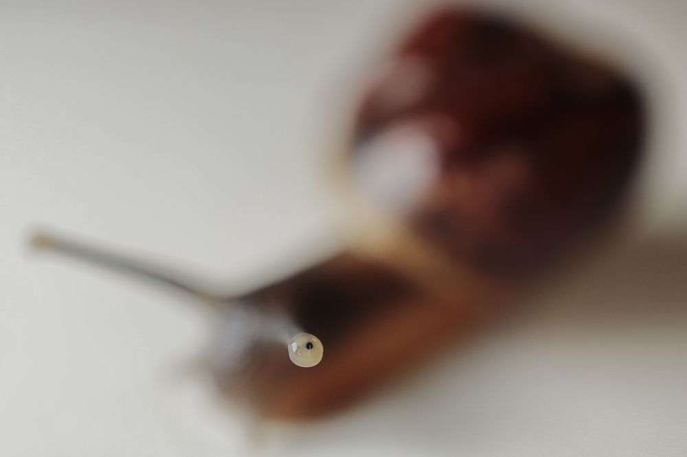 Photograph by Yana Egorova