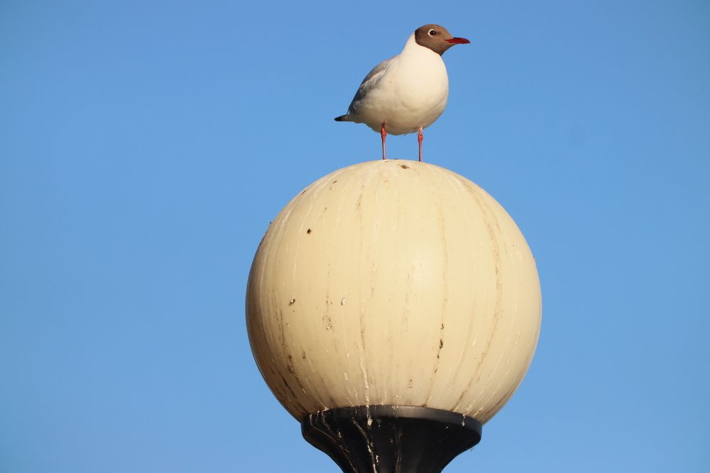 Photograph by Yana Egorova