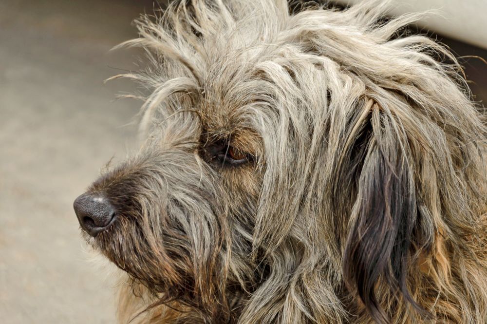 Photograph by Олег Волков