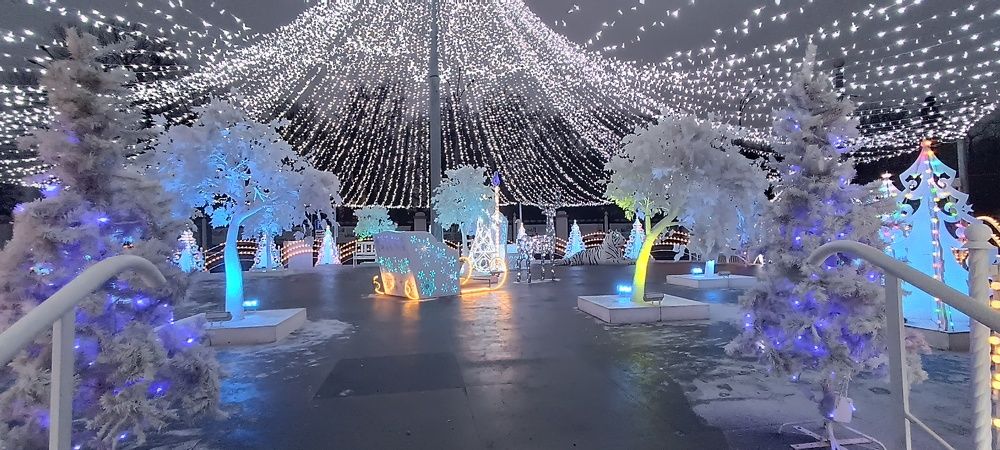 Photograph by Mishel Photographer