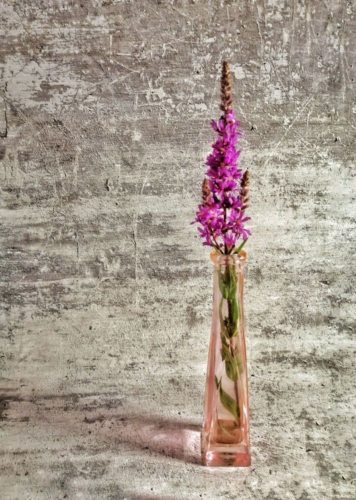 Фотография автора НАТАЛЬЯ СЕВЕР