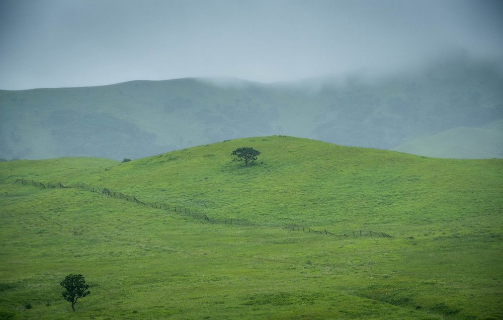 Photograph by Олег Волков