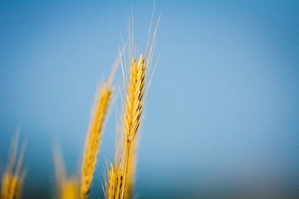 Photograph by Дмитрий