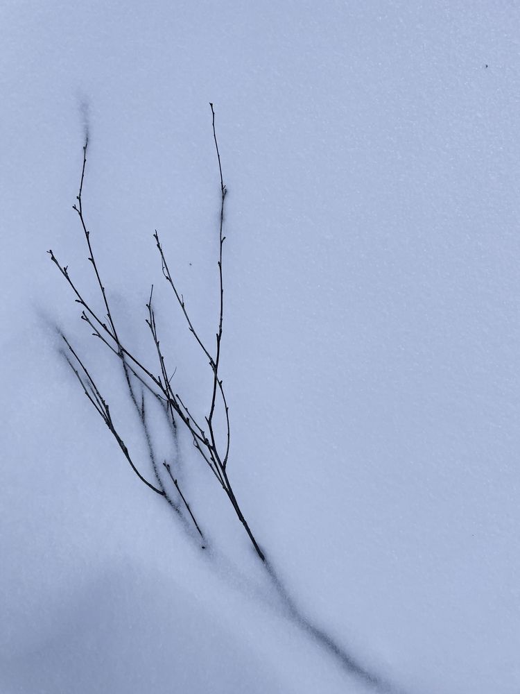 Photograph by Ляйсан Саляхиева