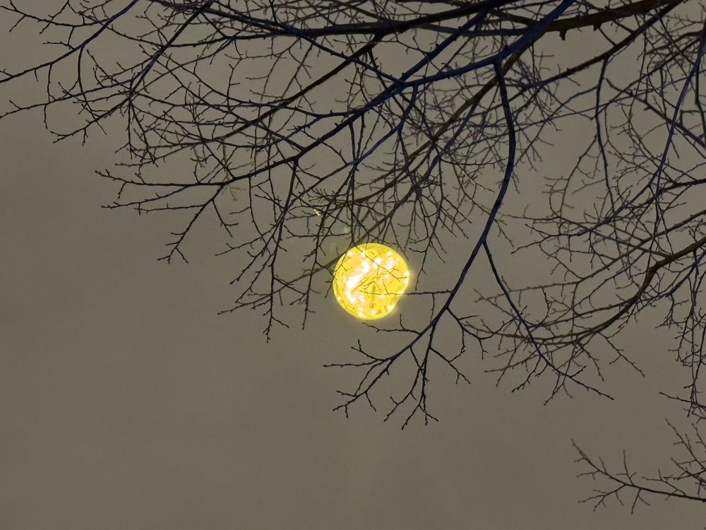 Photograph by Марина Сальникова