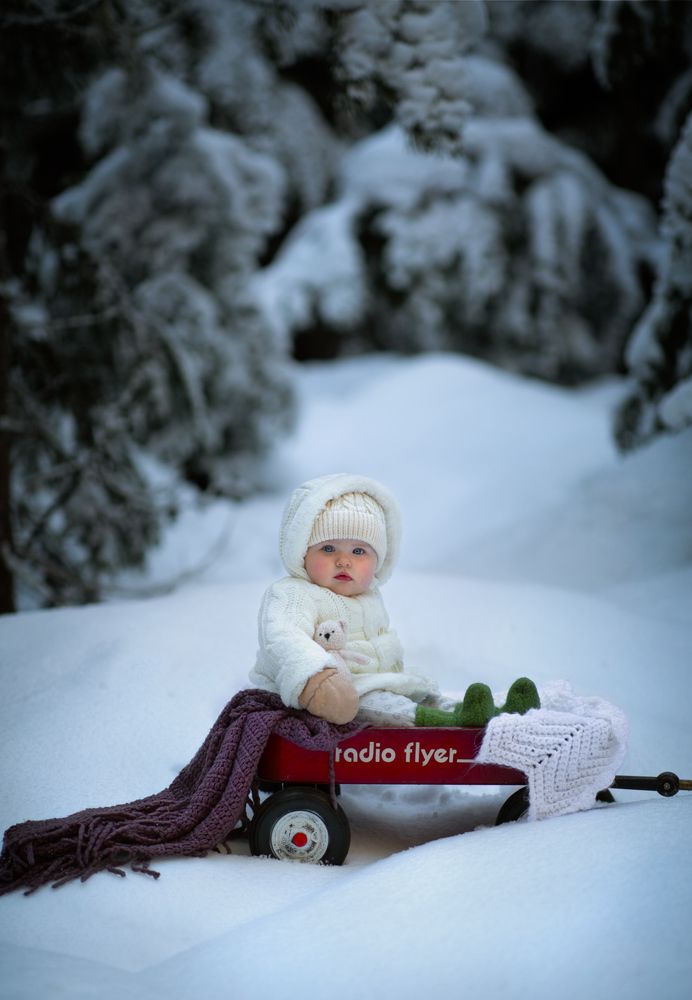 Фотография автора Nicole Fitzwater