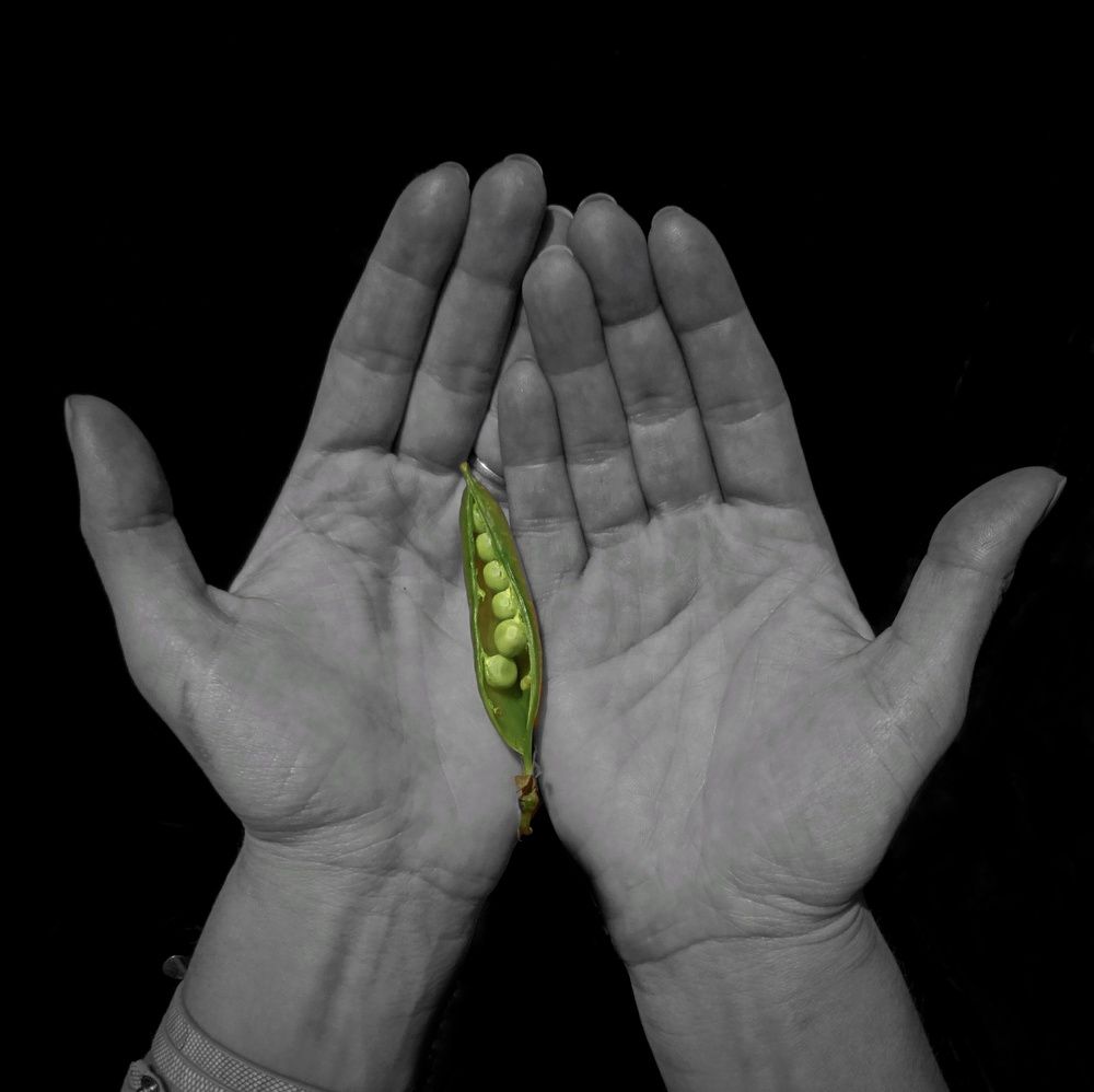 Фотография автора Геннадий Ломеко