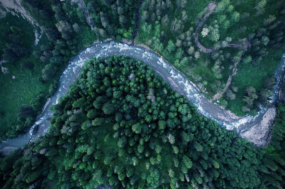 Photograph by Diana Karp