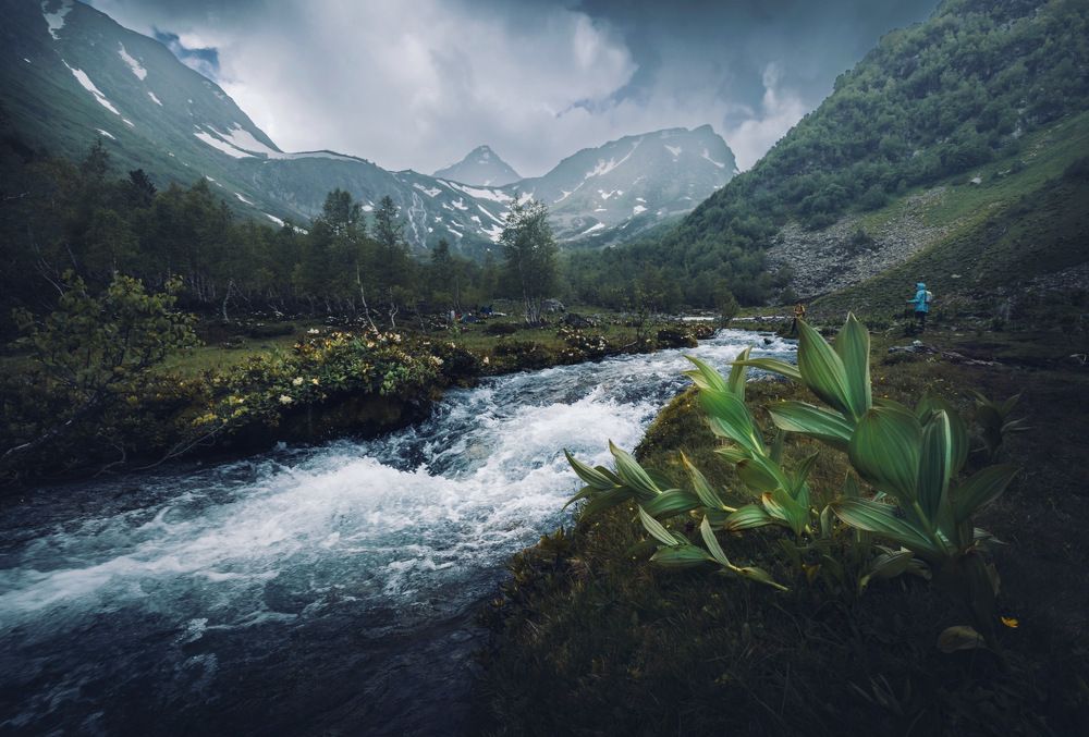 Photograph by Diana Karp