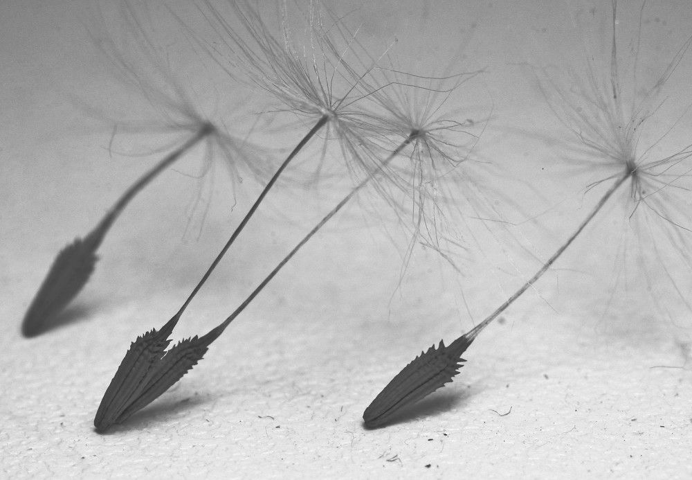 Фотография автора Геннадий Титов