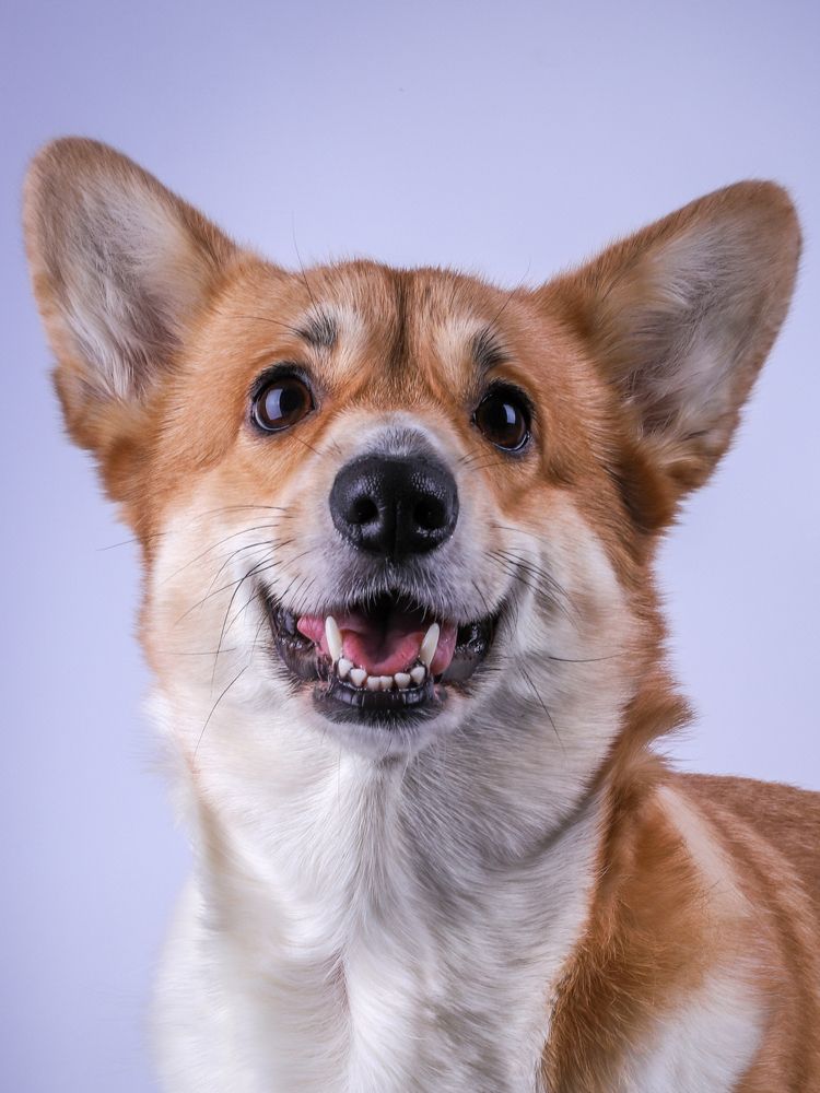 Photograph by Альвина Кузнецова