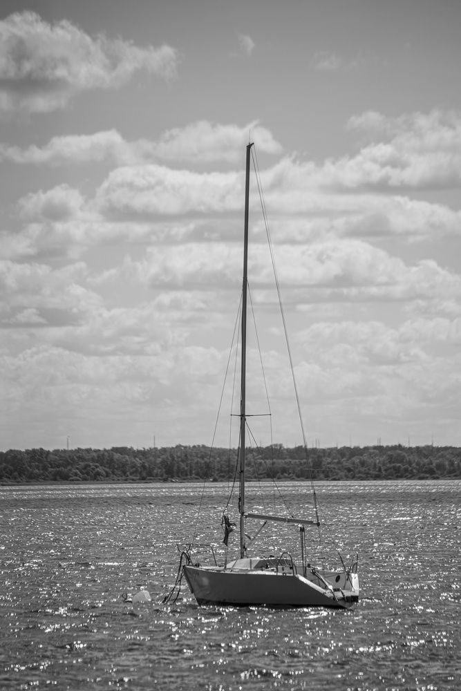 Фотография автора Михаил Кругов