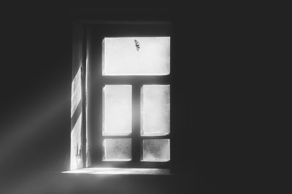 Photograph by Victor Stepanov