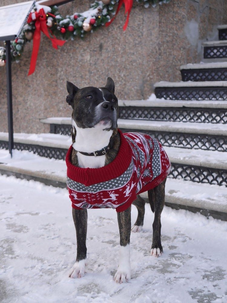 Фотография автора Лариса Хвостова