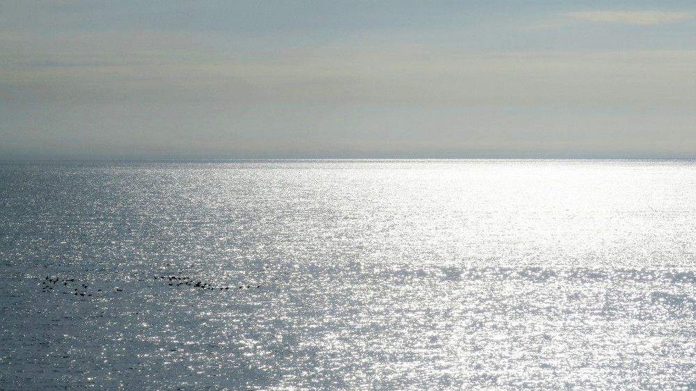 Photograph by Елена Казарина