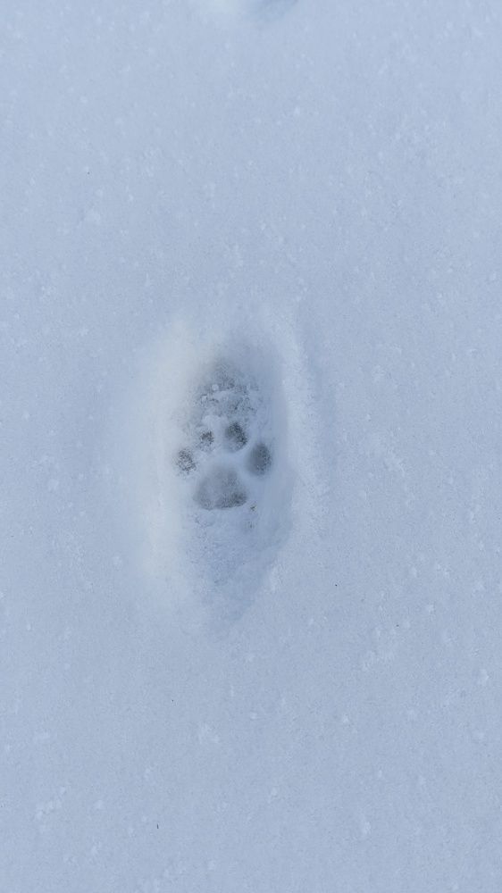 Фотография автора Васильева Ирина