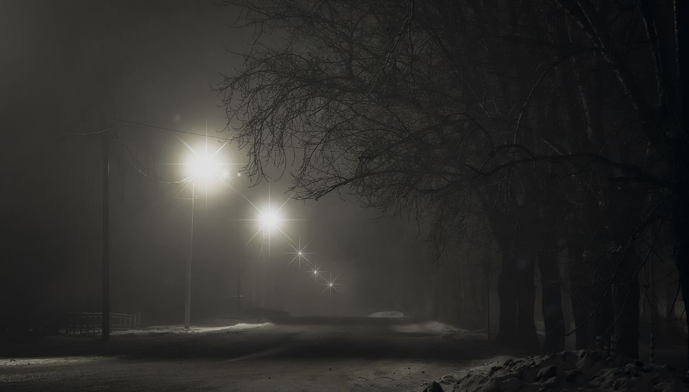 Photograph by Vladimir Frolov