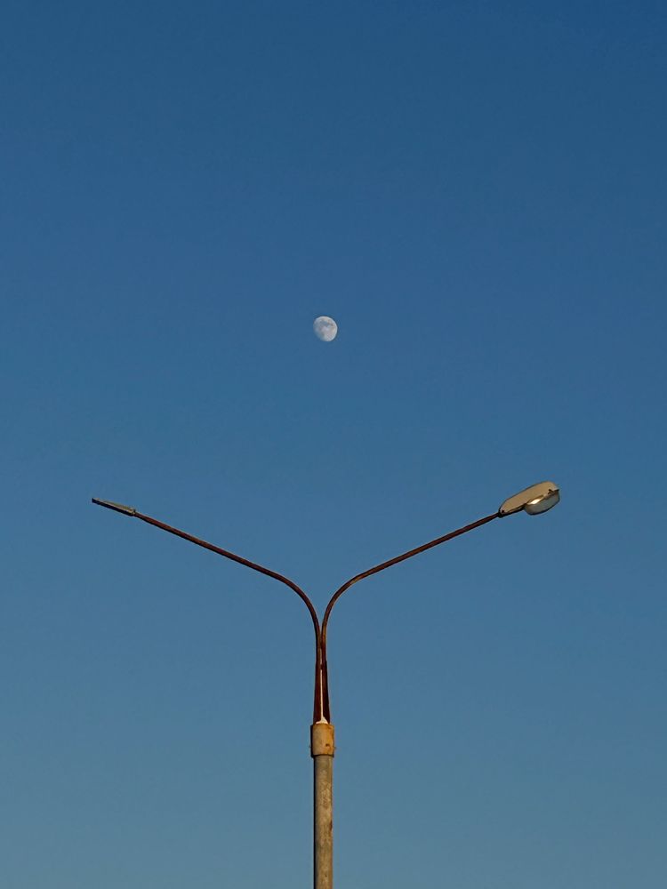 Фотография автора Юлия Осетрова