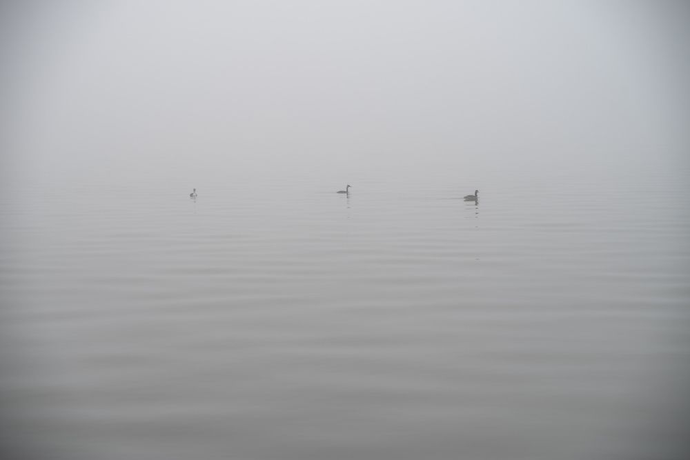 Photograph by Ксения Шилина