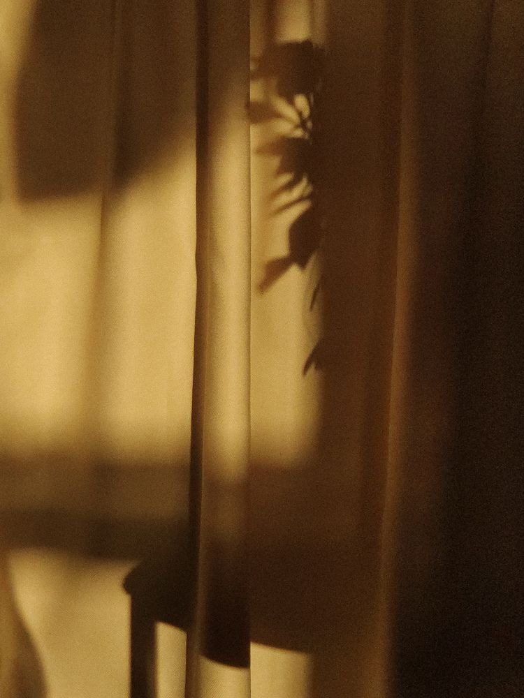 Photograph by Светлана Григорьева