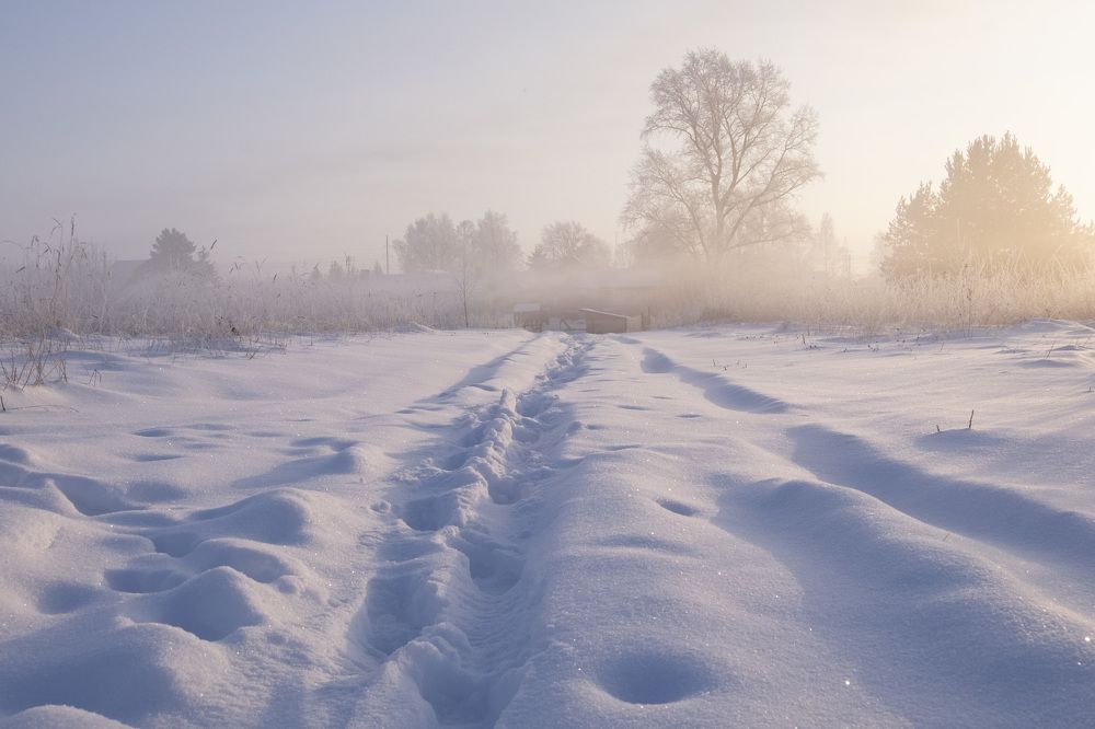 Фотография автора Наталья Липовская